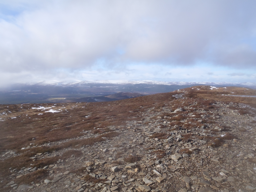Day 1 - Glenmore - Meall a' Bhuacaille - Creaan Gorm - Strath Nethy