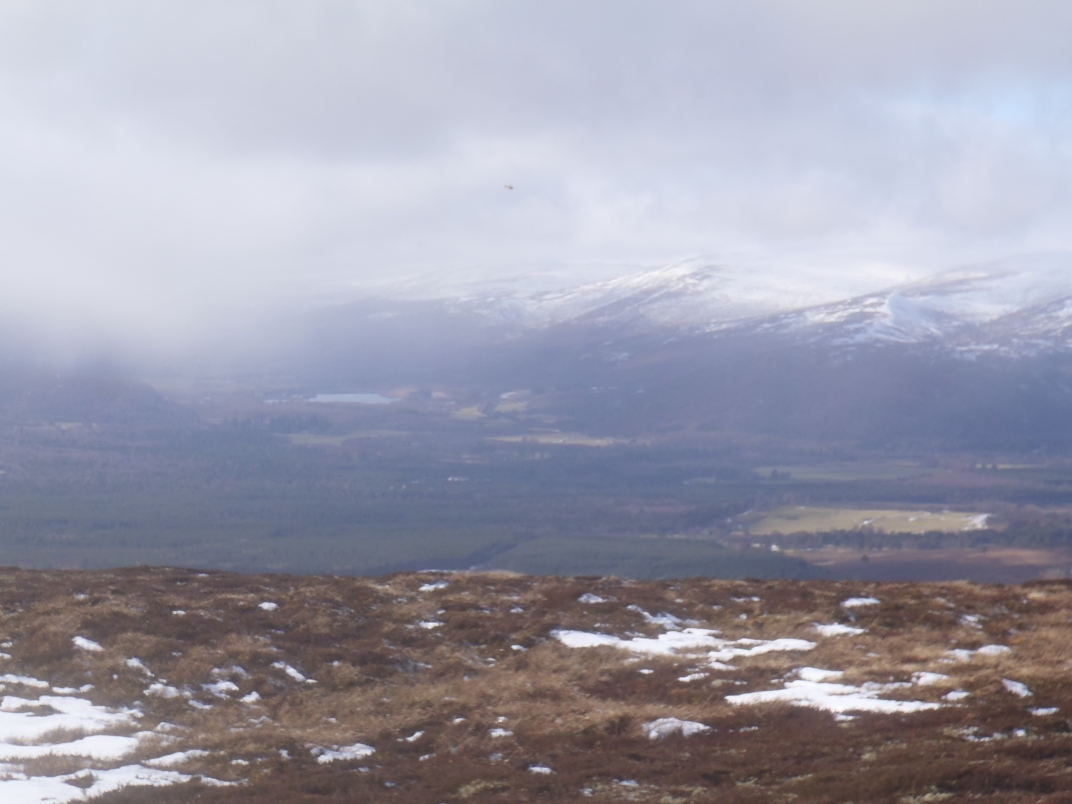 Day 1 - Glenmore - Meall a' Bhuacaille - Creaan Gorm - Strath Nethy