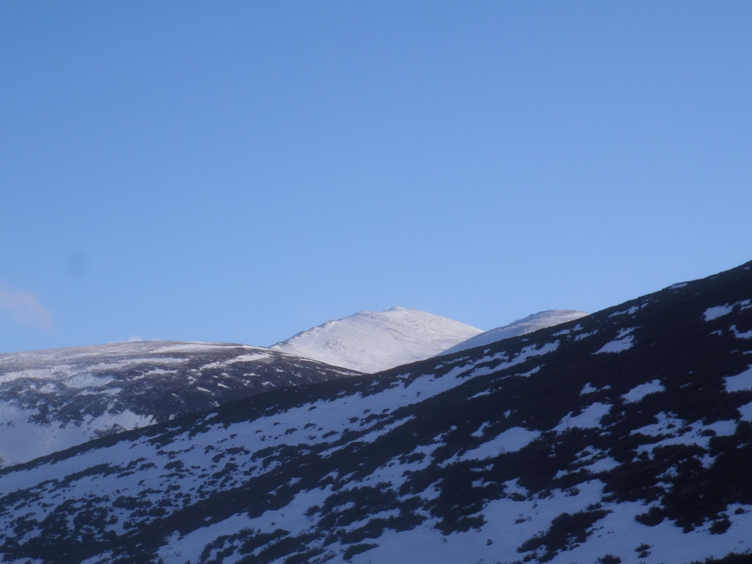 Day 1 - Glenmore - Meall a' Bhuacaille - Creaan Gorm - Strath Nethy