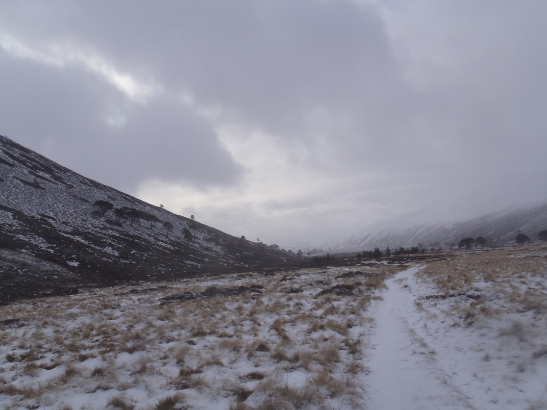 Day 3 - Huchinson Bothy - Derry Lodge - Corrour Bothy