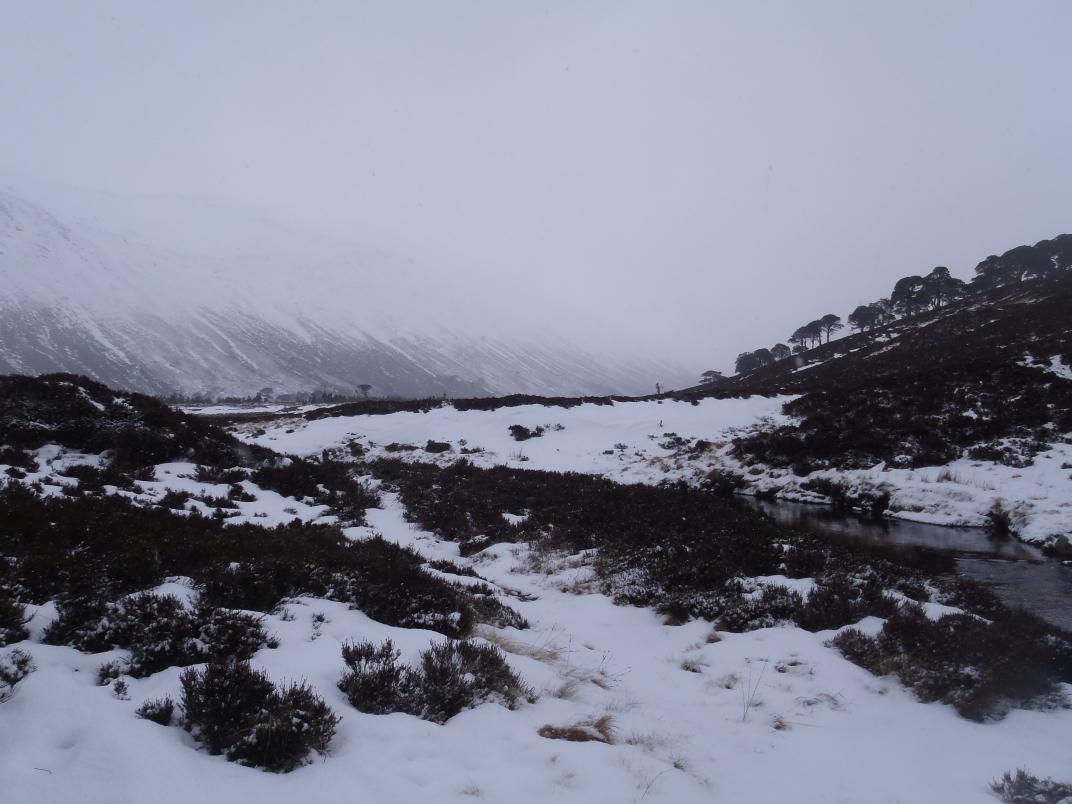 Day 3 - Huchinson Bothy - Derry Lodge - Corrour Bothy