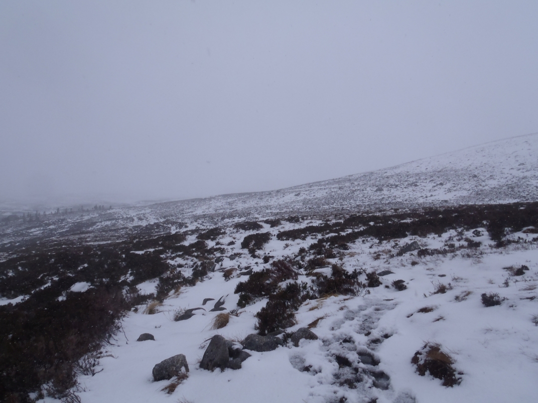 Day 3 - Huchinson Bothy - Derry Lodge - Corrour Bothy
