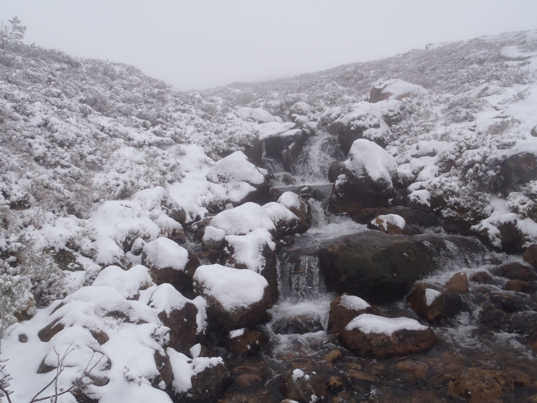 Day 1 - Cairngorm Ski Base Station - Ben Macdui - Hutchinson Bothy