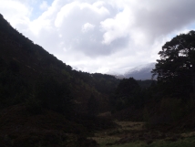Day 3 - Ryvoan Bothy - Glenmore