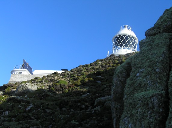 North Light