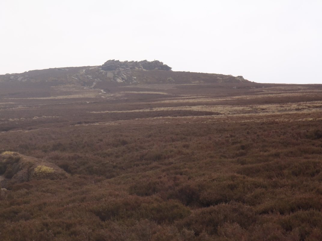Derwent Moors