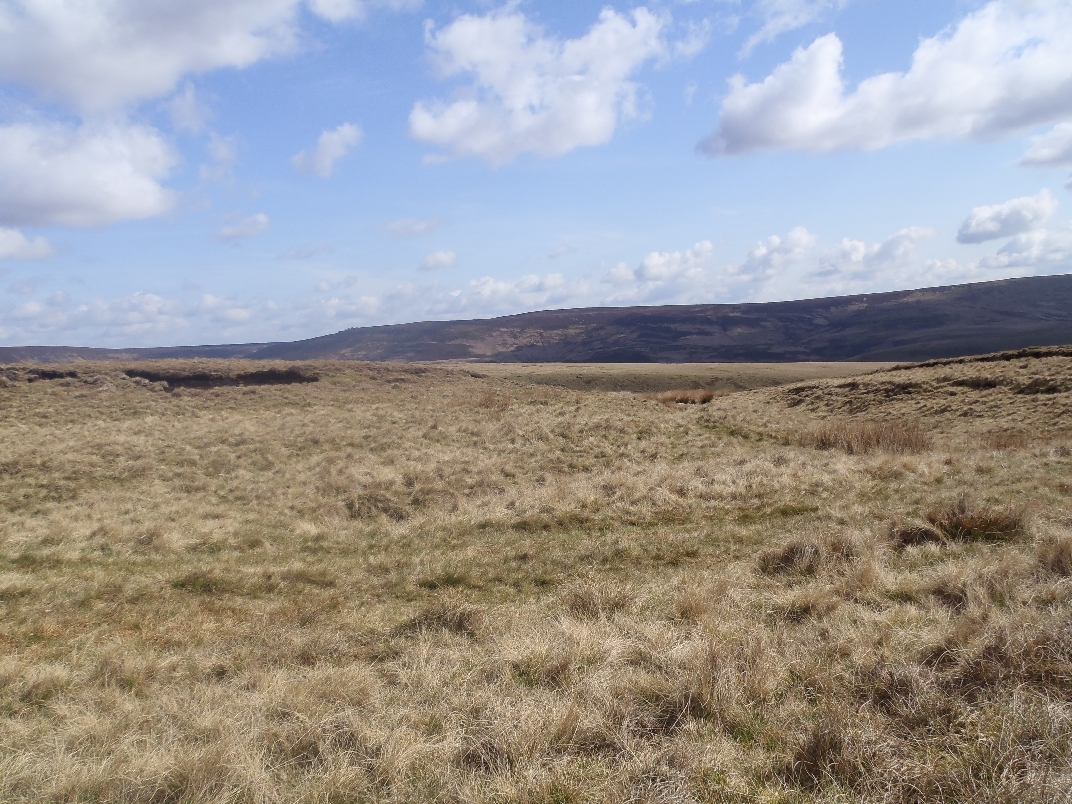 Ridge Nether Moor