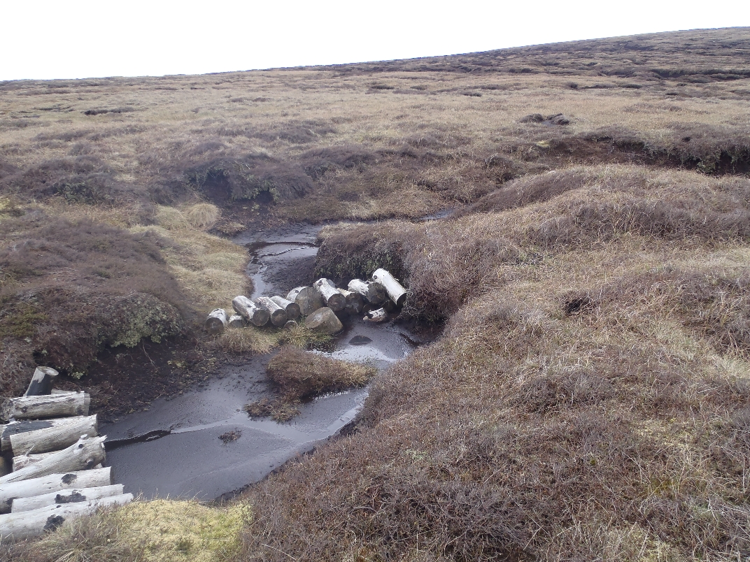 Top of moor
