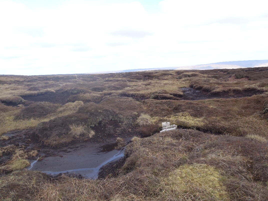 Top of moor