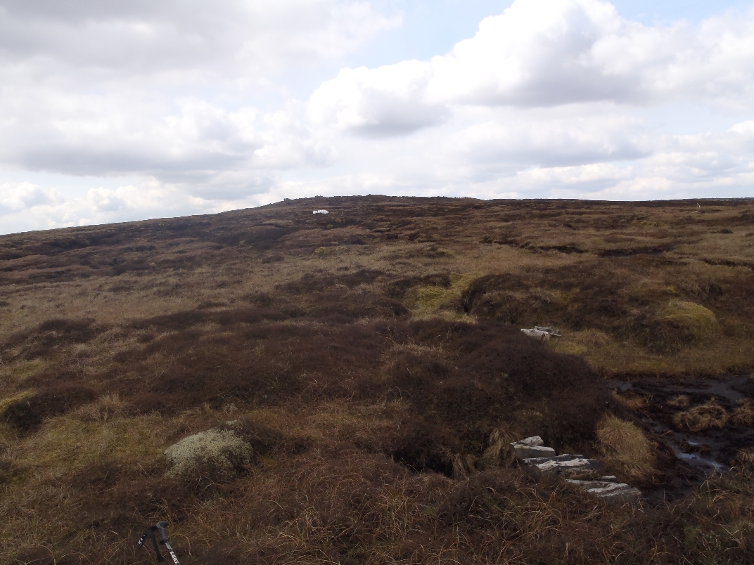 Top of moor