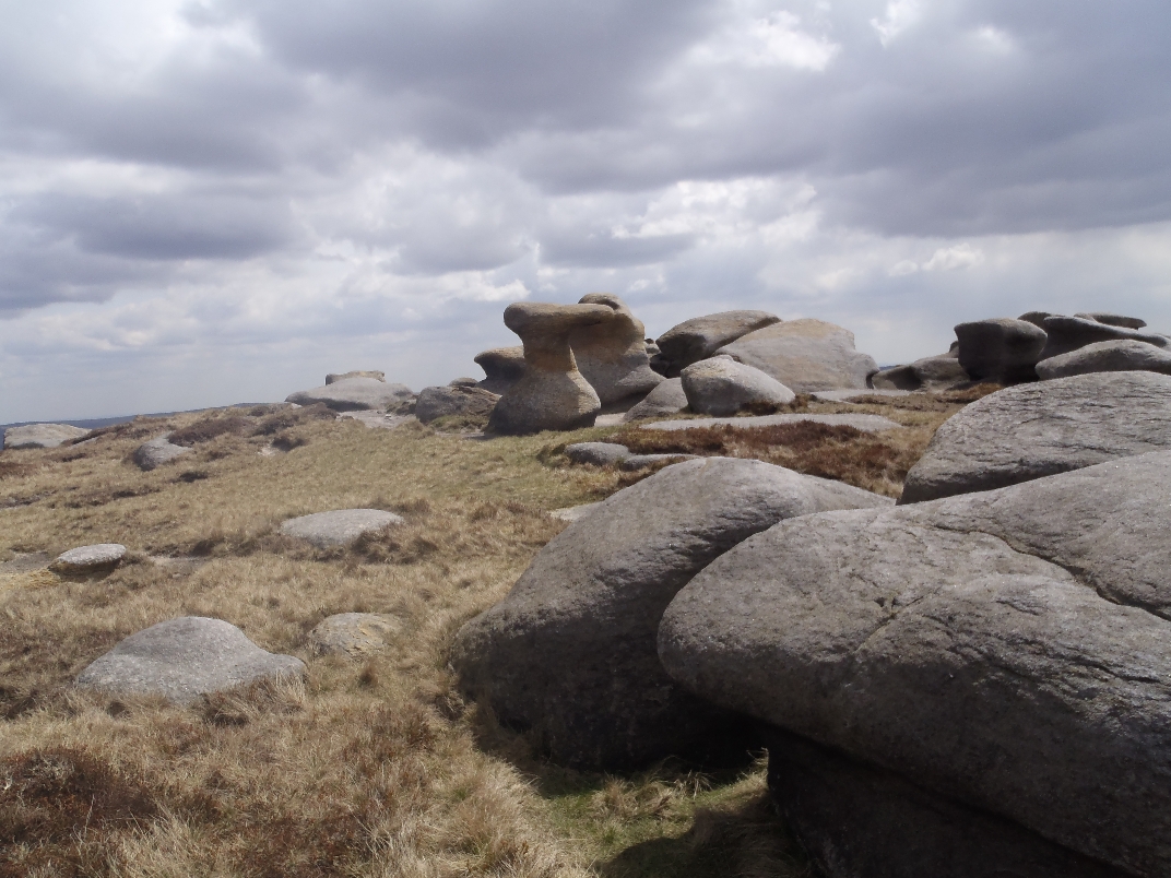 Top of moor