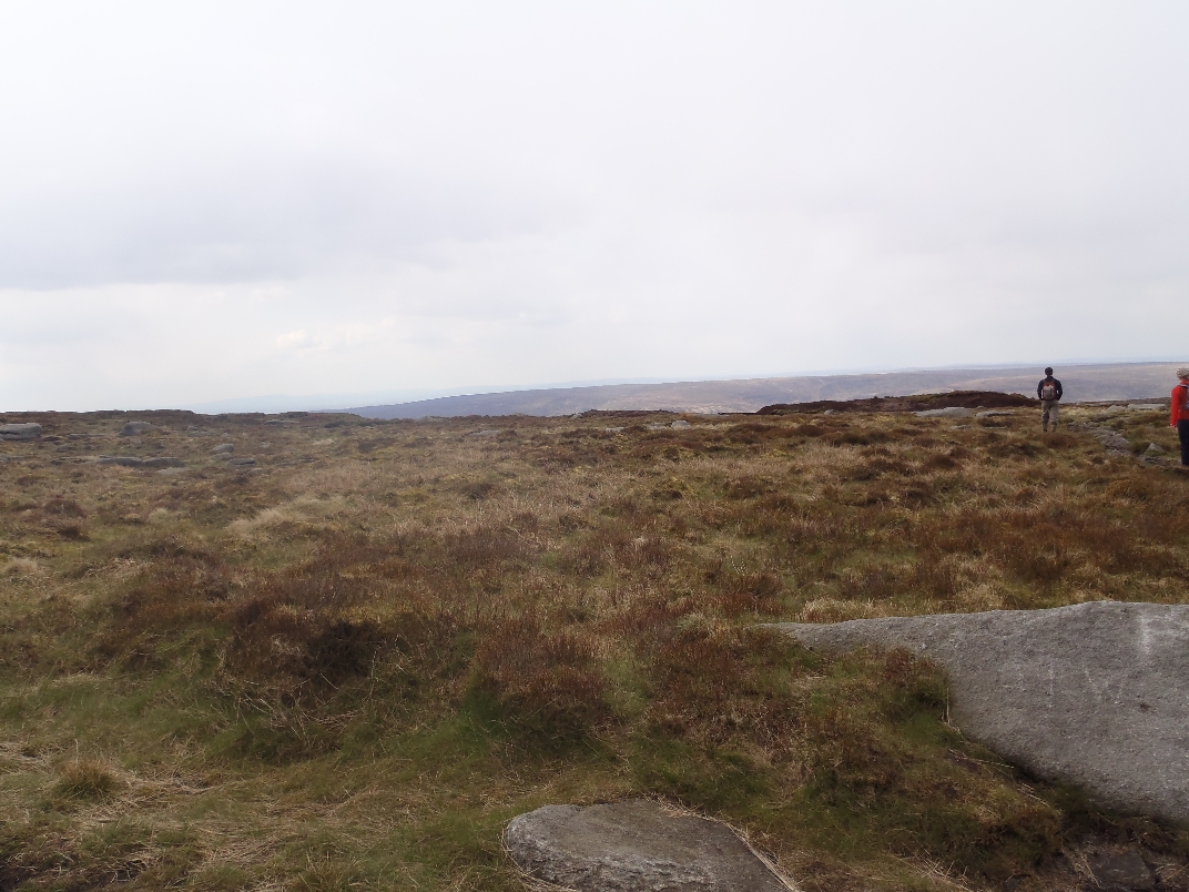 Bleaklow Head