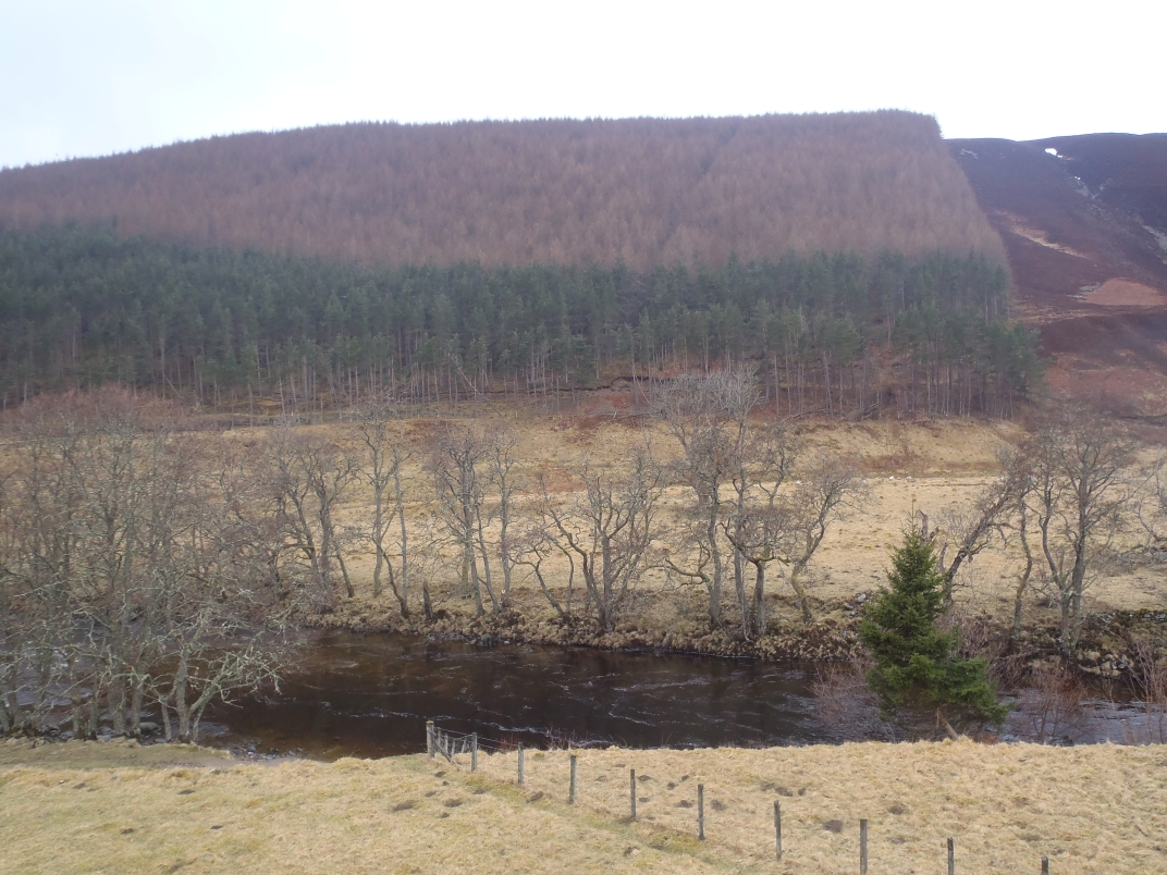 Day 1 - Glen Tilt