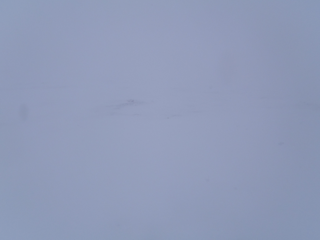 Day 1 - Glen Tilt (it got worse, I was then just too busy to use a camera!)