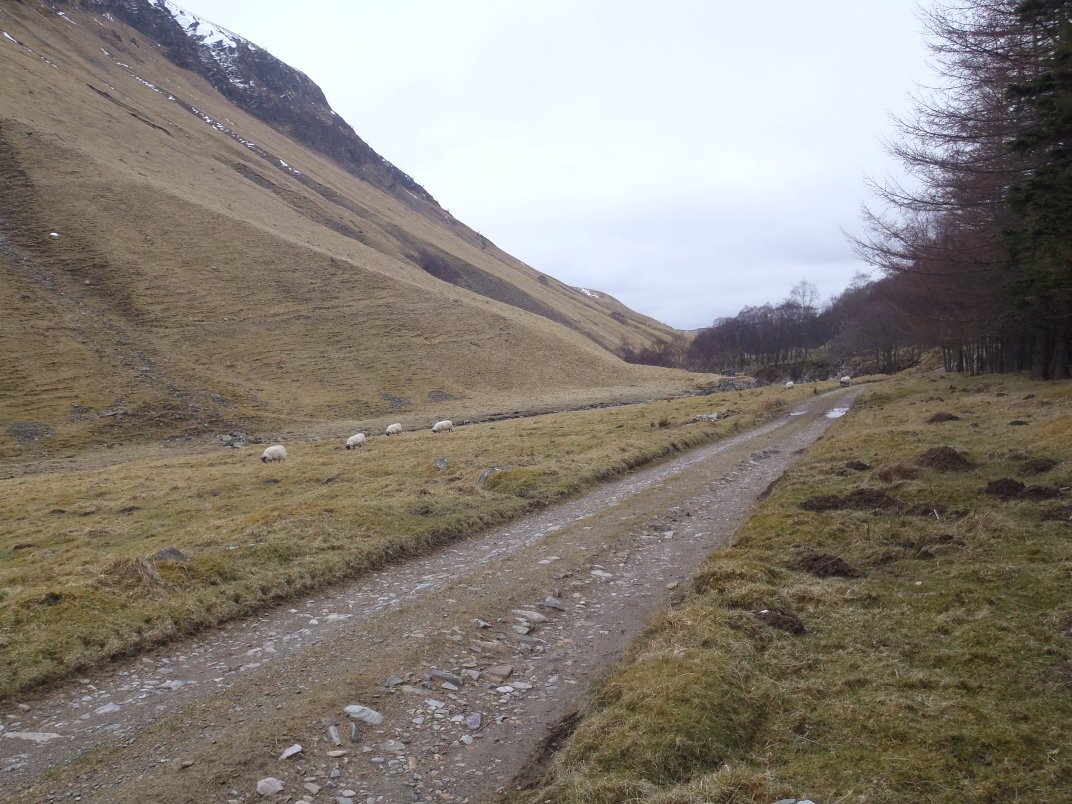Day 1 - Glen Tilt