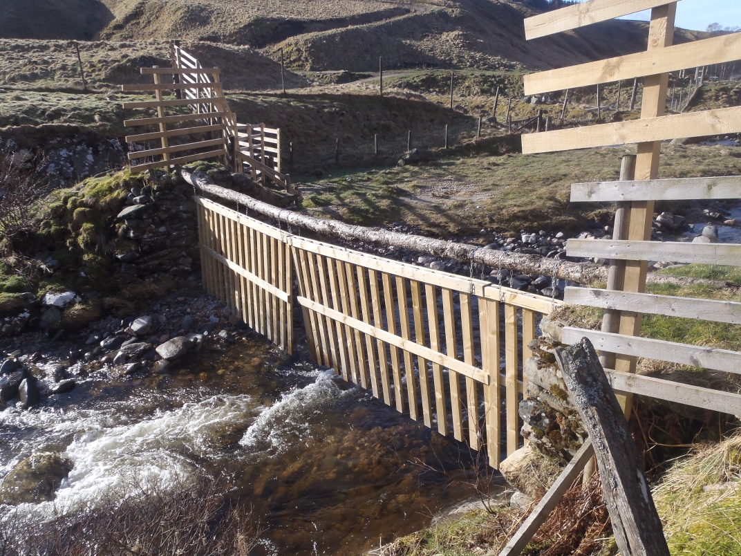 Day 4 - Ben Vrackie - the OS think this is a footbridge...