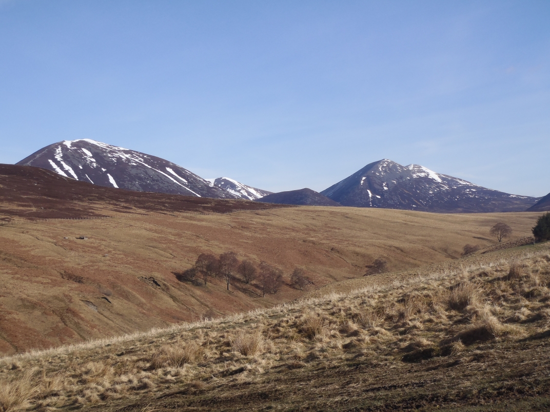 Day 4 - Ben Vrackie