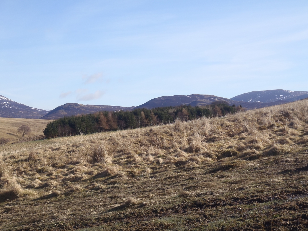 Day 4 - Ben Vrackie