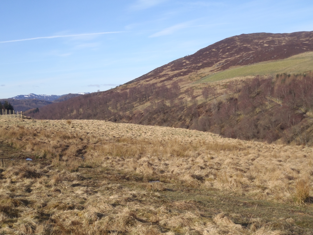 Day 4 - Ben Vrackie