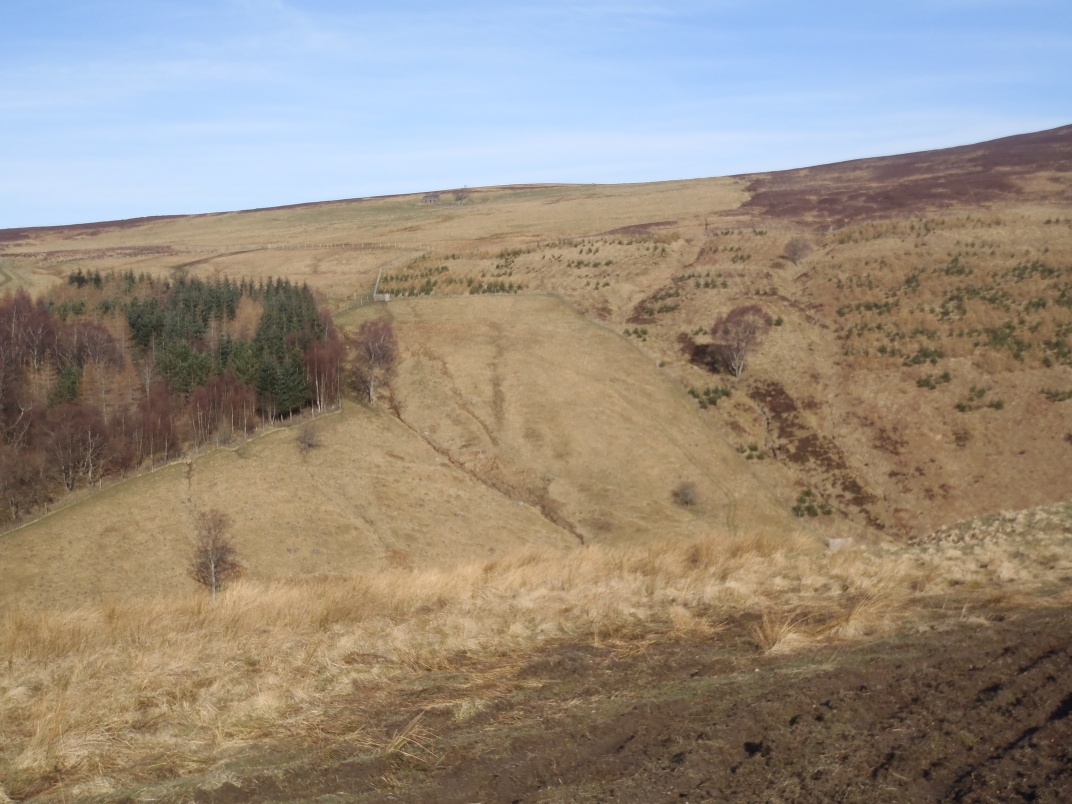 Day 4 - Ben Vrackie