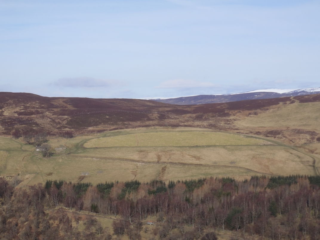 Day 4 - Ben Vrackie