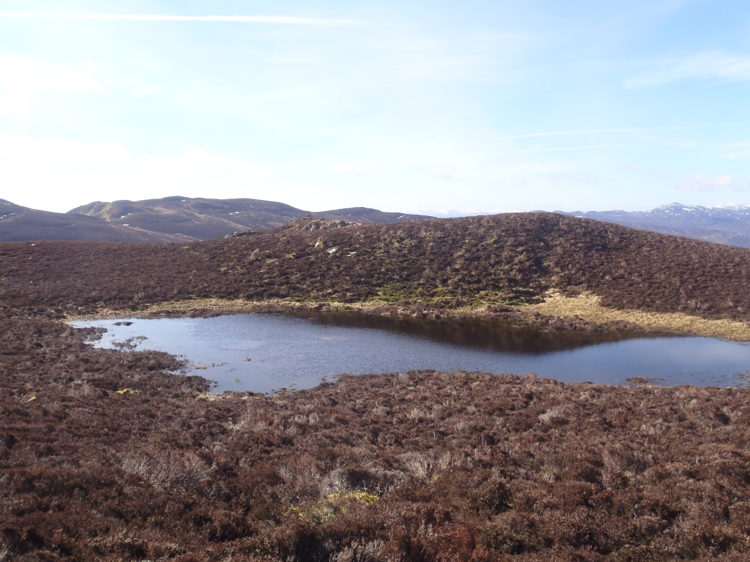 Day 4 - Ben Vrackie