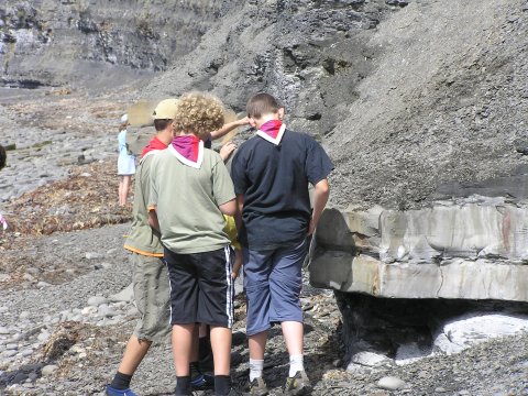 Fossil collecting