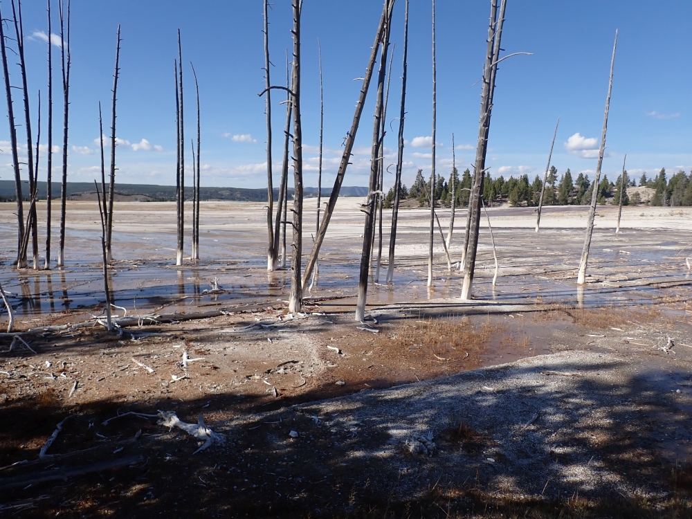 Yellowstone
