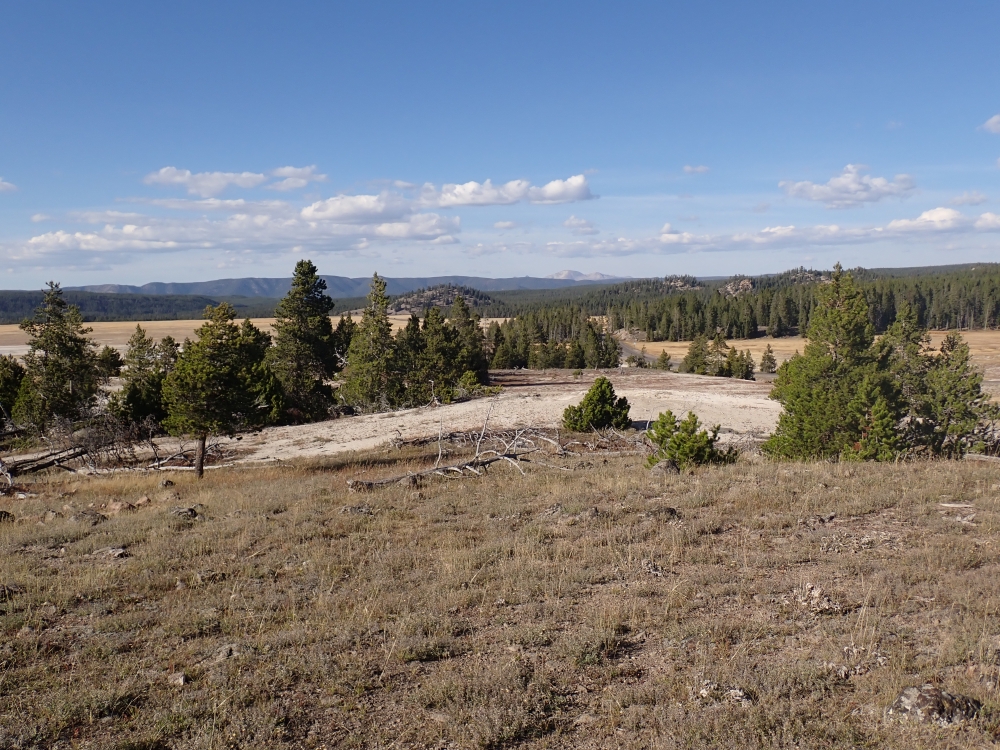 Yellowstone