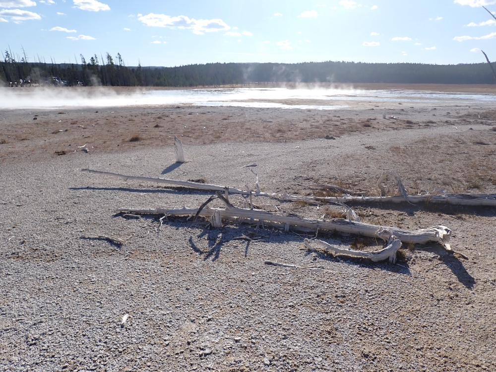 Yellowstone