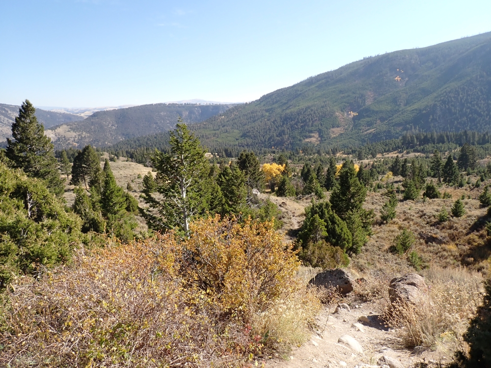 Yellowstone