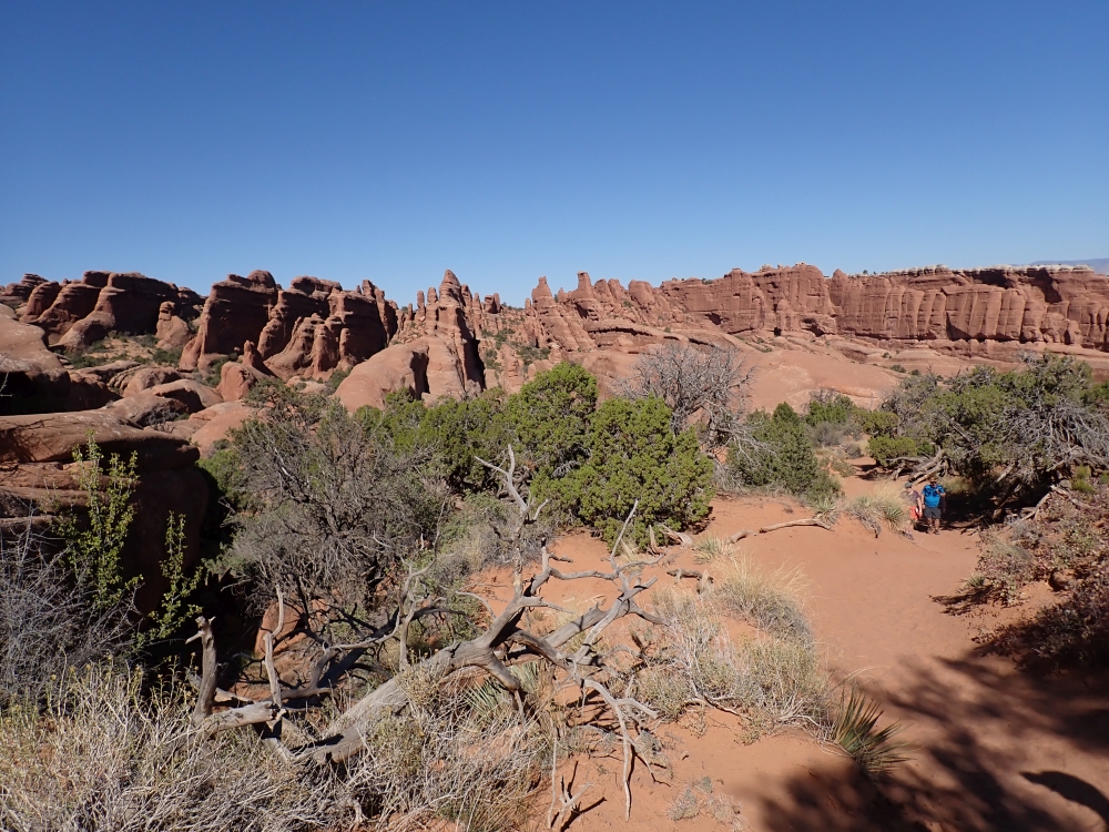 Arches National Park