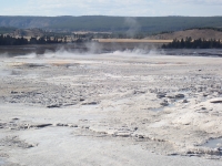 Yellowstone
