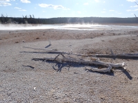Yellowstone