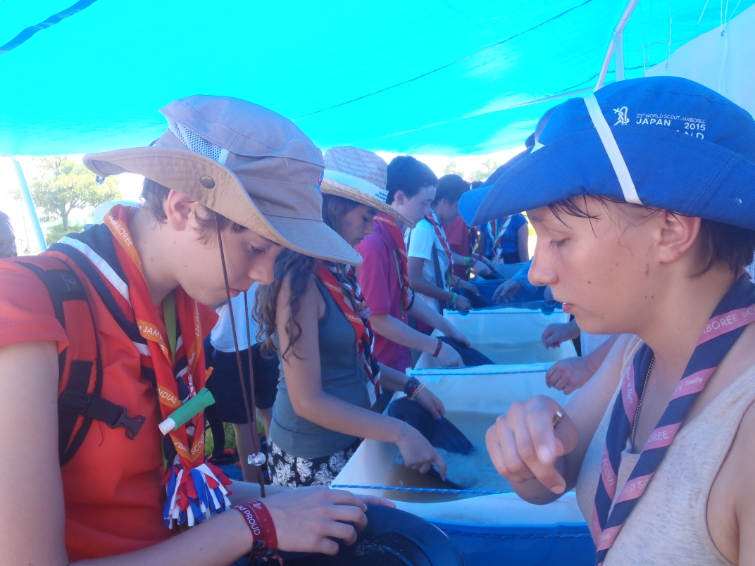 Science - Panning for Gold